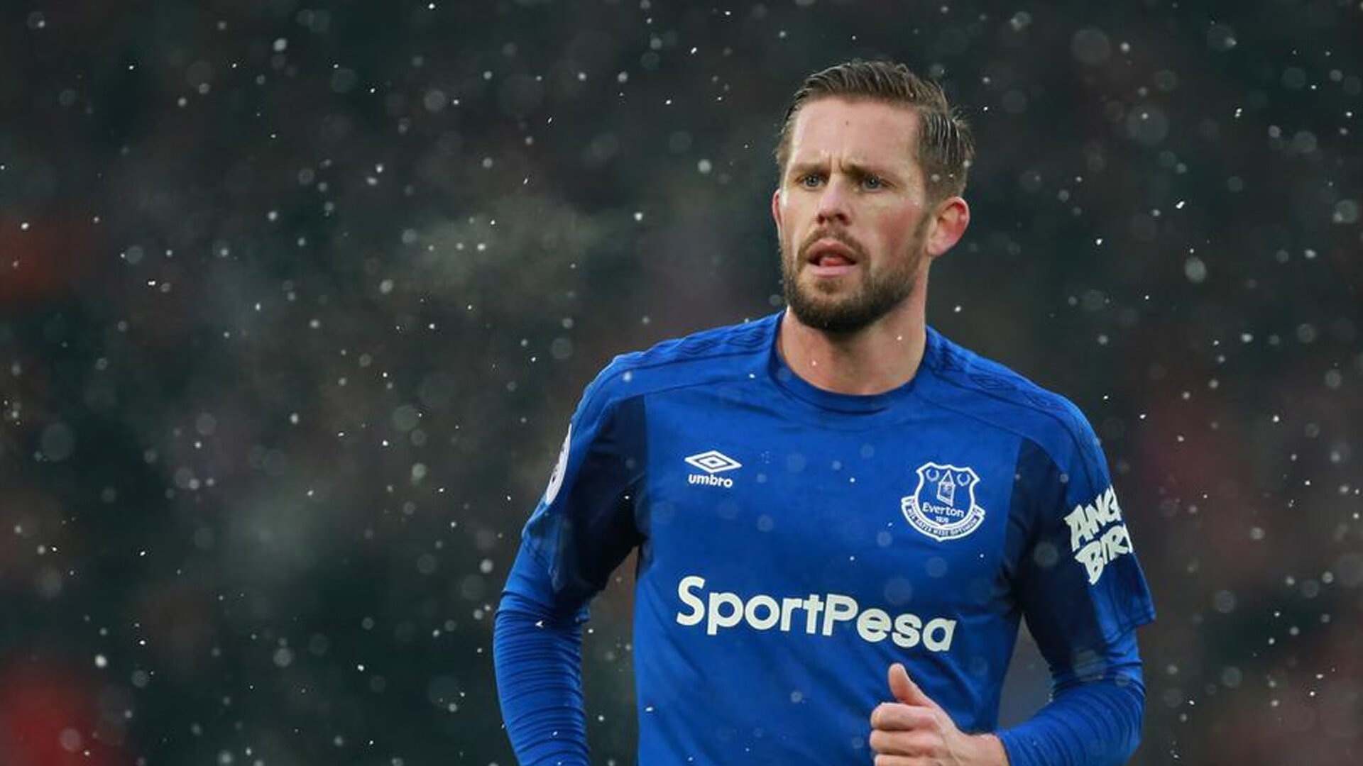 德甲激烈碰撞,球迷支持不断提升,德甲 球迷